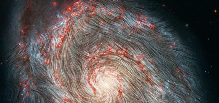 The Whirlpool Galaxy (also named M 51) has a well observed magnetic field. The magnetic field lines broadly follow the spiral arms in the central region and become more braided and distorted in the outskirts due to turbulence and the satellite galaxy above.