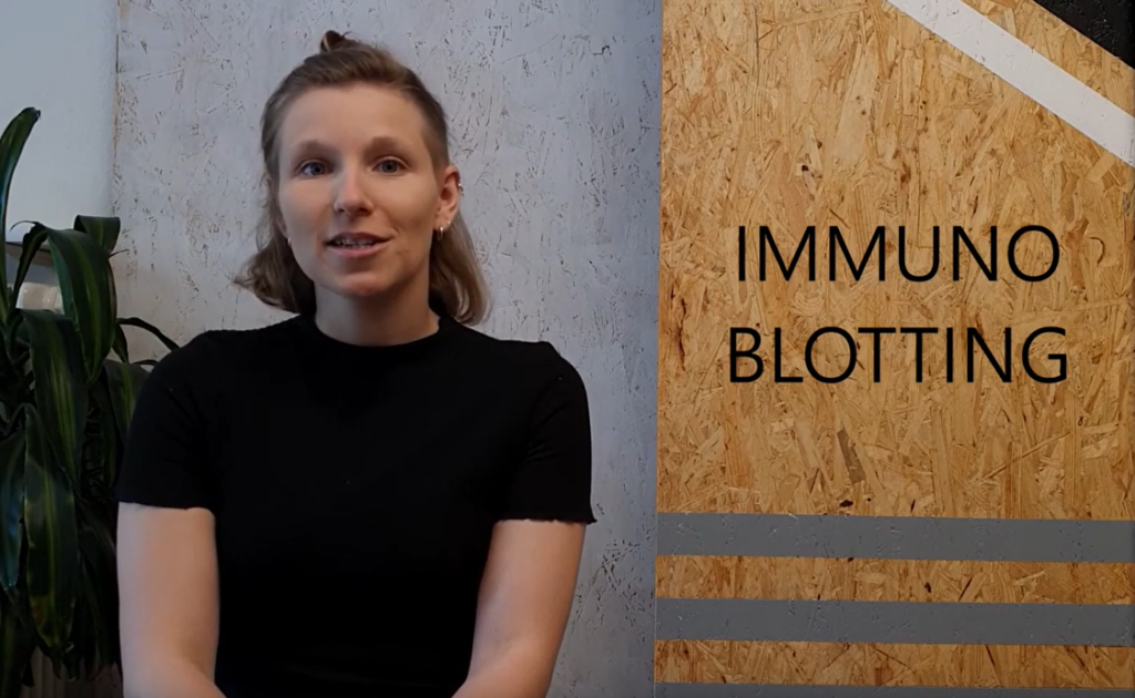photo of a young woman smiling at the camera in front of a gray-brown wooden background. on the right it says "Immunoblotting"